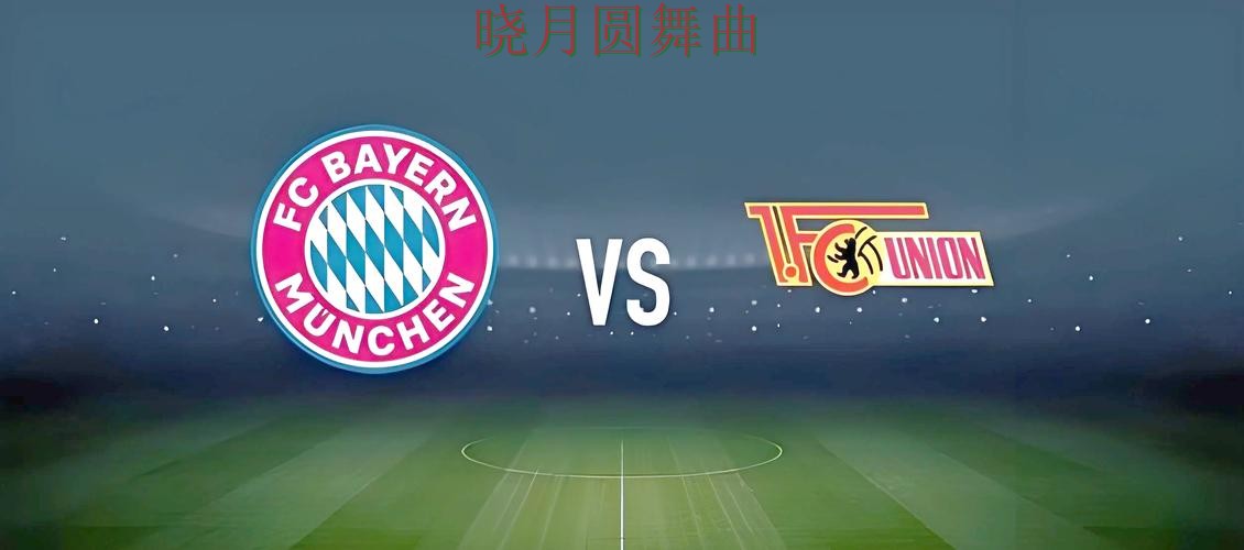 世界杯投注数据页面怎么理解更高效 世界杯投注数据页面怎么理解更高效